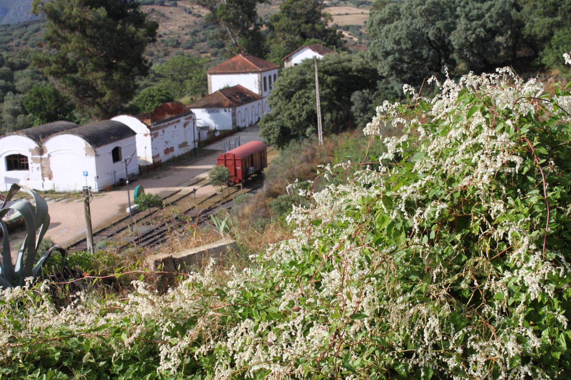 Casa Rural Camino De Hierro I Y II La Fregeneda المظهر الخارجي الصورة
