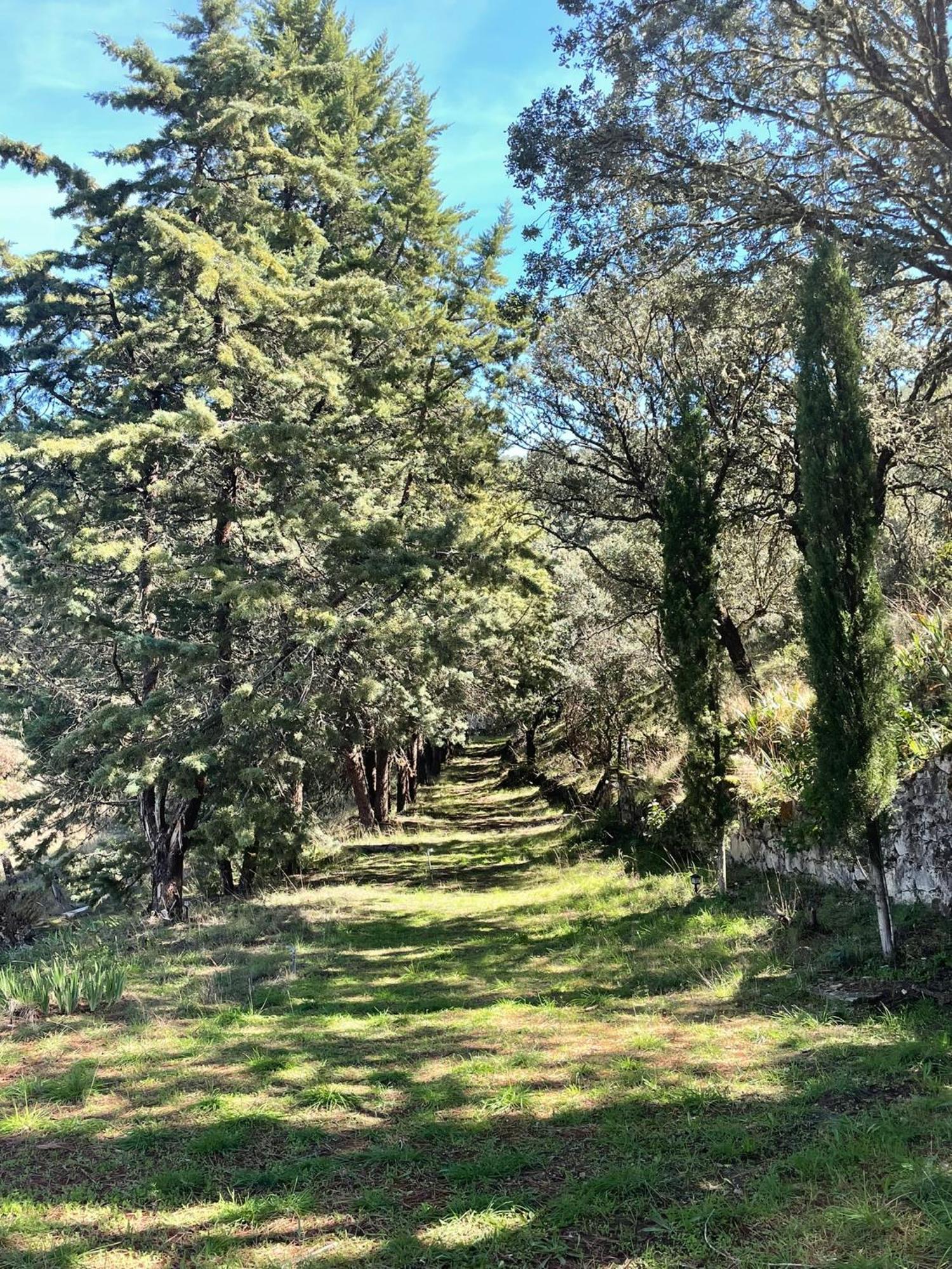 Casa Rural Camino De Hierro I Y II La Fregeneda المظهر الخارجي الصورة